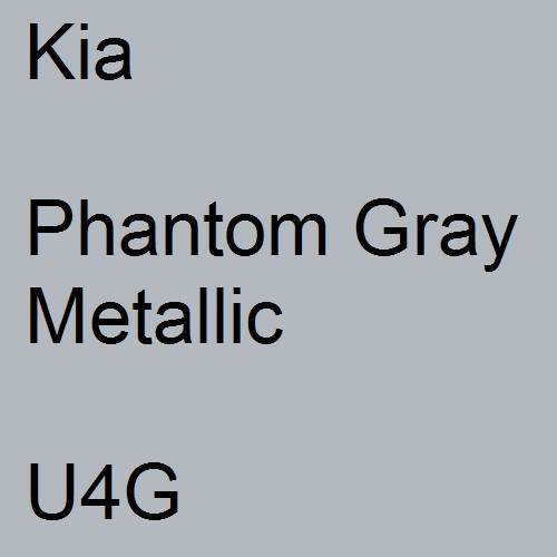 Kia, Phantom Gray Metallic, U4G.